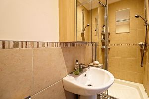 Annex Shower Room- click for photo gallery